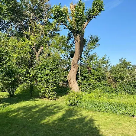 18th Century Gem With Soul *