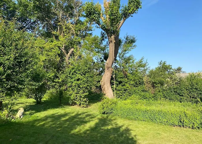 18th Century Gem With Soul *